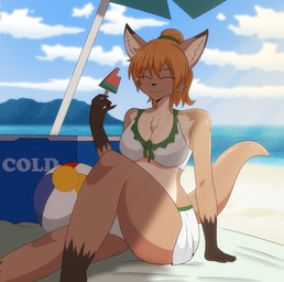 anthro ball beach beach_ball bikini bikini_bottom bikini_top breasts chest_tuft cleavage clothed clothing cloud cooler dessert eyes_closed female food ice_cream inflatable multicolored_body popsicle seaside sitting sky solo swimwear tuft two-piece_swimsuit umbrella water flyingtrace yazz_(flyingtrace) canid canine fennec_fox fox mammal true_fox 2023 cel_shading digital_media_(artwork) hi_res shaded