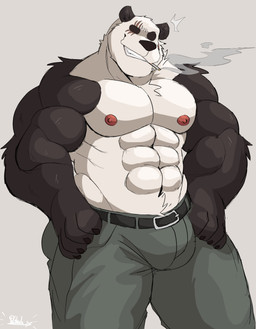 abs anthro belt big_muscles black_sclera bottomwear bulge cigarette clothed clothing grey_background hands_on_hips looking_at_viewer male muscular muscular_anthro muscular_male navel nipples pants pecs scar simple_background smile smirk smoking solo standing topless topless_male vitashi beastars gouhin_(beastars) bear giant_panda mammal 2021 hi_res