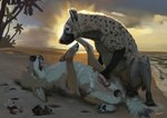 beach duo feral male male/male palm_tree plant sea sunset tree water fokker_(artist) canid canine canis coyote hyena mammal absurd_res hi_res