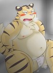 anthro asian_clothing belly big_belly blush bodily_fluids bulge clothing cum east_asian_clothing fundoshi genital_fluids japanese_clothing kemono male moobs navel nipples overweight overweight_male pink_nose sitting solo underwear white_clothing white_fundoshi white_underwear bake_gosut felid mammal pantherine tiger 2013 hi_res