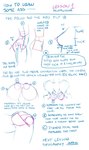 anatomy anus backsack balls butt duo female genitals how-to male not_furry reference_guide solo_focus text the_more_you_know doxy digital_drawing_(artwork) digital_media_(artwork) english_text