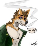 anthro bedroom_eyes brown_body brown_fur brown_hair cheek_tuft cigarette cigarette_in_mouth cigarette_smoke clothing coat dialogue dialogue_box eyeliner eyeshadow facial_tuft femboy fluffy fluffy_chest fluffy_ears fluffy_hair fluffy_tail fur green_eyes hair makeup male mostly_nude narrowed_eyes neck_tuft nipple_piercing nipples object_in_mouth orange_body orange_fur piercing purple_eyelids seductive skinny slightly_chubby slim smoke smoking smoking_cigarette solo solo_focus solo_in_panel speech_bubble tail tan_body tan_fur text text_box topwear tuft shibatoast canid canine fox mammal 2025 absurd_res hi_res