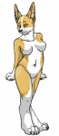 4_toes anthro biped blue_eyes breasts claws ear_piercing featureless_breasts feet female fur nude orange_body orange_fur piercing simple_background solo standing toes white_background white_body white_fur purra canid canine canis domestic_dog mammal 2010