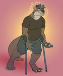 anthro crutch disability handicap happy male medical_instrument physical_therapy pleased proud scientific_instrument smile solo fetishame gordon_the_otter mammal mustelid otter 5:6 absurd_res hi_res