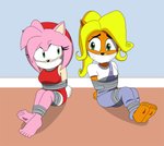 anthro barefoot bdsm bondage bound cloth_gag clothing duo feet female gag humanoid_feet overalls plantigrade sitting soles tape tape_bondage worried imightbemick activision crash_bandicoot_(series) sega sonic_the_hedgehog_(series) amy_rose coco_bandicoot bandicoot eulipotyphlan hedgehog mammal marsupial hi_res