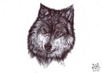 ambiguous_form ambiguous_gender logo mouth_closed simple_background solo whiskers kola_(artist) canid canine mammal 2014 artist_logo dated headshot_portrait monochrome portrait traditional_media_(artwork)