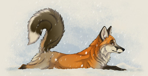 ambiguous_feral ambiguous_gender brown_eyes cheek_tuft facial_tuft feral fur grey_tail leg_markings looking_at_viewer lying markings mouth_closed neck_tuft on_front orange_body orange_fur quadruped side_view snow snowing socks_(marking) solo tail tuft white_body white_fur white_tail kodaac canid canine fox mammal hi_res