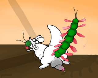 all_the_way_through ambiguous_gender anal anal_penetration anal_threading anal_vore antennae_(anatomy) anus balls big_balls big_penis bodily_fluids cheek_bulge duo emanata erection feral feral_on_feral feral_pred feral_prey forced foreskin formicophilia full_tour genital_fluids genitals glans humanoid_genitalia humanoid_penis leaking_precum male male/ambiguous male_penetrated neck_bulge penetration penis precum raised_tail rape safe_vore saliva_covered sex snake_impalement tail threaded_by_body unwilling_pred vore wide_eyed wings pincoosh rain_world videocult survivor_(rain_world) arthropod centipede centipede_(rain_world) centiwing_(rain_world) myriapod slugcat 5:4 digital_media_(artwork) signature