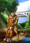 anthro black_body black_fur bridge detailed_background digitigrade duo forest fur hug male male/male nude orange_body orange_fur outside plant standing stripes tree white_body white_fur yellow_body yellow_fur hufnaar hufnaar_(character) ulbrek felid mammal pantherine tiger 2020 hi_res