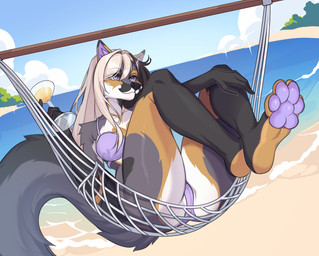 anthro beach beverage bikini breasts camel_toe clothing feet female fluffy fluffy_tail foot_fetish genital_outline genitals hair hammock holding_beverage holding_object long_hair pawpads paws purple_pawpads sea seaside sky solo summer swimwear tail two-piece_swimsuit vulva_outline water drkot canid mammal hi_res