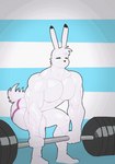 abs anthro barbell bulge clothed clothing jockstrap jockstrap_only male muscular muscular_anthro muscular_male nipples solo topless underwear underwear_only bulletfang william_(bulletfang) arctic_hare hare lagomorph leporid mammal animated