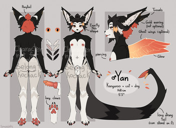4_toes 5_fingers animal_genitalia anthro areola balls biped black_body black_fur black_hair black_tail erection feet fingers flaccid front_view fur genitals hair male navel nipples nude nude_anthro nude_male orange_eyes penis rear_view sheath solo standing tail text toes spuydjeks yana_(kochack) canid canine canis domestic_cat domestic_dog felid feline felis hybrid kangaroo macropod mammal marsupial 2025 digital_drawing_(artwork) digital_media_(artwork) english_text hi_res model_sheet