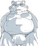 anthro asian_clothing belly big_belly bulge clothing east_asian_clothing fundoshi japanese_clothing kemono male moobs navel nipples overweight overweight_male solo underwear hysk sengoku_puzzle tokugawa_ieyasu canid canine mammal raccoon_dog tanuki 2023 hi_res