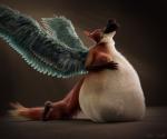 2016 3d_(artwork) angel anthro belly big_belly canid canine canis digestion digital_media_(artwork) domestic_dog duo female fox mammal simple_background vore zefirotreddi