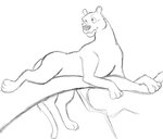 ambiguous_gender branch feral foot_hanging_down hands_on_object lying outside simple_background solo white_background thegreatmatsutzu the_jungle_book bagheera_(jungle_book) felid feline mammal pantherine black_and_white monochrome sketch