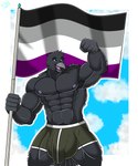 5_fingers abs anthro armpit_hair asexual_pride_colors beak biceps big_bulge biped body_hair boxer_briefs boxer_briefs_only bulge clothed clothing detailed_bulge dorky fingers flag flag_(object) genital_outline headgear holding_flag holding_object huge_bulge lgbt_pride male male_anthro muscular muscular_anthro muscular_male nipples pecs penis_outline pride_colors pubes quads solo topless topless_anthro topless_male underwear underwear_only mike_dramon_(artist) avian bird corvid corvus_(genus) crow oscine passerine absurd_res hi_res