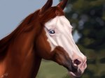 ambiguous_gender blue_eyes brown_body brown_mane eyelashes feral mane mouth_closed photorealism realistic solo white_body scarlanya equid equine horse mammal 2018 4:3 dated signature