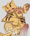 anthro balls blush bodily_fluids cum cum_drip cum_in_ass cum_inside dripping genital_fluids genitals leaking_cum male male/male pawpads penis red_eyes stripes yellow_eyes a8295536 kuny_(a8295536) felid mammal pantherine tiger hi_res