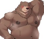 2024 anthro armpit_hair bear belly ben_bigger black_nipples blush bodily_fluids body_hair brown_body eye_scar facial_scar hi_res male mammal mihoyo moobs musclegut muscular nipples overweight overweight_male pecs scar simple_background solo sweat white_background whitebeast20 zenless_zone_zero