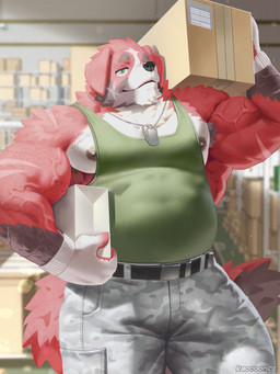 accessory anthro arm_scar armpit_hair barazoku belly belt biceps black_belt black_body black_fur body_hair bottomwear box camo camo_bottomwear camo_clothing camo_pants camo_print carrying_boxes cheek_scar clothing container dog_tags facial_scar floppy_ears fluffy fluffy_tail fur gloves gloves_(marking) green_eyes grey_bottomwear grey_clothing grey_pants handwear holding_object jewelry male markings multicolored_body multicolored_fur musclegut muscular muscular_anthro muscular_male necklace nipples pants pattern_bottomwear pattern_clothing pattern_pants pecs red_body red_fur scar shoulder_scar solo tail text triceps warehouse white_body white_clothing white_fur white_gloves white_handwear raccoon21 december_twilight gregory_ferguson canid canine canis domestic_dog mammal 2024 3:4 absurd_res artist_name hi_res watermark