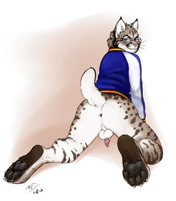 animal_genitalia animal_penis anthro anus balls bobtail bottomless bottomless_male butt claws clothed clothing eyewear fangs feet feline_genitalia feline_penis genitals glasses jacket looking_at_viewer looking_back male pawpads paws penile_spines penis perineum presenting presenting_hindquarters raised_tail rear_view small_penis solo tail teeth topwear whiskers moodyferret jasper_kinney bobcat felid feline lynx mammal 2026