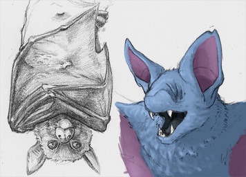 ambiguous_gender black_mouth black_tongue blue_body blue_fur duo eyeless fangs feral folded_wings fur grey_background looking_at_viewer membrane_(anatomy) membranous_wings mouth_closed open_mouth purple_inner_ear purple_wings realistic simple_background teeth tongue tongue_showing upside_down winged_arms wings deriaz nintendo pokemon bat generation_1_pokemon mammal pokemon_(species) zubat 2013 digital_drawing_(artwork) digital_media_(artwork) graphite_(artwork) traditional_media_(artwork)