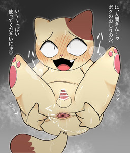 anal_request anthro anus belly blush bodily_fluids censor_bar genital_fluids legs_up male musk pawpads precum presenting presenting_anus slightly_chubby smile solo spread_anus spread_legs spreading text reset_r18 domestic_cat felid feline felis mammal hi_res japanese_text translated