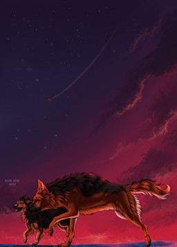 ambiguous_gender black_body black_fur brown_eyes cloud duo fangs feral fur mouth_closed open_mouth orange_body orange_fur outside side_view sky teeth text tongue tongue_out msdeadsoul canid canine canis domestic_dog mammal 2023 artist_name dated english_text hi_res