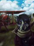 aircraft airplane anthro clothed clothing day detailed_background fur grass hair looking_at_viewer male plant purple_body purple_fur purple_hair purple_nose sky solo vehicle whiskers yellow_eyes entsk canid canine mammal hi_res