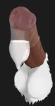 anthro balls big_penis bodily_fluids brown_penis condom cum dark_body dark_skin disembodied_penis erection filled_condom fur furry_balls genital_fluids genitals hair huge_penis humanoid_genitalia humanoid_penis male penis pubes purple_penis sexual_barrier_device simple_background solo vein veiny_penis white_body white_fur nibisu humanoid mammal detailed hi_res