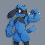 1:1 2020 absurd_res anthro biceps blue_body blue_fur canid canine digital_media_(artwork) flexing fur generation_4_pokemon grey_background hi_res male mammal muscular muscular_anthro muscular_male nintendo pecs pokemon pokemon_(species) red_eyes riolu simple_background smile solo waddledox