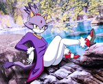 anthro clothing crossed_legs female footwear fur gloves hair handwear high_heels jewelry lake looking_at_viewer necklace photo_background plant purple_body purple_clothing purple_fur purple_hair red_clothing rock shoes sitting tied_hair tree white_body white_clothing white_fur yellow_eyes nikku_lunatique sega sonic_the_hedgehog_(series) blaze_the_cat domestic_cat felid feline felis mammal hi_res photography_(artwork)