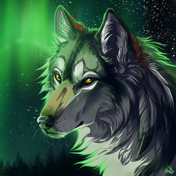 ambiguous_gender black_nose detailed_background feral fur grey_body grey_fur night outside sky solo star starry_sky yellow_eyes wolfroad canid canine canis mammal wolf 1:1 2015 digital_media_(artwork) headshot_portrait icon portrait