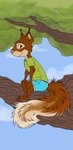 bottomwear clothing feral forest hi_res kitsune2000 latte_and_the_magic_waterstone male mammal plant rodent sciurid shirt shorts solo tjum topwear tree