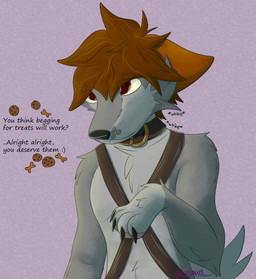 anthro begging brown_hair collar cookie dialogue food fur grey_body grey_fur hair harness male one_paw_up red_eyes solo text whining 2001maxx conditional_dnp maxx_(2001maxx) canid canine canis domestic_dog husky mammal nordic_sled_dog spitz english_text hi_res