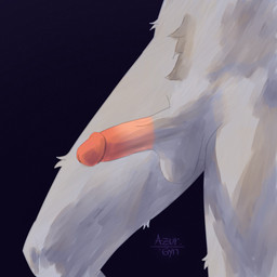 anthro balls circumcised close-up erection fur genital_close-up genitals glans grey_body grey_fur humanoid_genitalia humanoid_penis male penis penis_close-up simple_background solo study azurgyn ambiguous_species mammal 1:1 digital_drawing_(artwork) digital_media_(artwork) draw_over hi_res signature