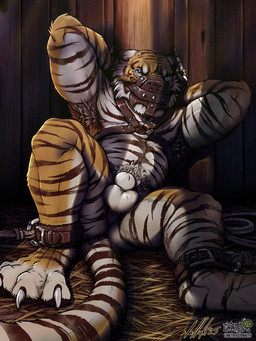 4_toes animal_genitalia ankle_cuffs anthro arm_markings arm_scar arm_tuft armpit_hair armpit_tuft arms_bent balls bdsm bent_legs blue_eyes body_hair bondage bound brown_ear_tips brown_harness brown_leather brown_markings brown_stripes brown_tuft buckle butt chain chained chained_cuffs chained_to_wall cheek_markings cheek_tuft chest_markings chest_scar claws countershade_arms countershade_balls countershade_butt countershade_face countershade_feet countershade_fur countershade_genitalia countershade_legs countershade_perineum countershade_sheath countershade_tail countershade_torso countershading cuff_(restraint) digitigrade dipstick_ears ear_markings ears_back elbow_tuft exposed eye_markings facial_markings facial_tuft feet foot_markings front_view fully_sheathed fur fur_markings fur_tuft gag gagged genitals glare grey_armpit_hair grey_body_hair grey_pubes grey_tuft hands_behind_head harness harness_only hay head_markings iris leaning leaning_backward leather leather_cuffs leather_harness leather_muzzle leg_markings light long_tail looking_up male male_anthro markings multicolored_body multicolored_ears multicolored_fur multicolored_tail muscular muscular_anthro muscular_male muzzle_(object) muzzled narrowed_eyes nude nude_anthro nude_male o-ring orange_nose perineum pink_scar pivoted_ears pubes pupils restraints rope scar sheath shoulder_markings shoulder_scar sitting slave solo spread_legs spreading striped_body striped_fur striped_markings striped_tail stripes submissive submissive_anthro submissive_male tail tail_markings text thigh_markings threshold_light toe_claws toes tuft wall_(structure) white_balls white_body white_butt white_claws white_countershading white_ears white_fur white_perineum white_sclera white_sheath white_tail white_tuft wood wood_wall wrist_cuffs yellow_body yellow_fur yellow_tail yellow_tuft conditional_dnp draite vellum mikhail_(character) felid feline mammal pantherine tiger 2025 3:4 absurd_res artist_collaboration dated full-length_portrait hi_res lighting portrait shaded signature url