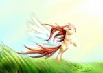 autumn_leaves brown_hair cutie_mark equine female feral grass hair half-closed_eyes hi_res horse mammal my_little_pony original_character outside pegasus pony rayhiros shaded signature sky smile solo spread_wings wings
Rating: Safe
Score: 1
User: Jatix
Date: March 10, 2014