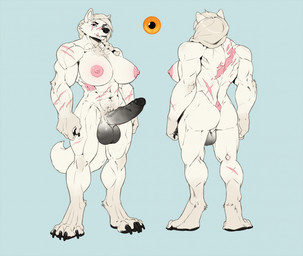 4_toes 5_fingers abs amber_eyes anthro balls big_breasts big_penis breasts chest_tuft darkened_balls darkened_genitalia darkened_penis digitigrade elderly elderly_gynomorph erection eye_scar facial_scar feet fingers fur genitals grey_hair gynomorph hair intersex muscular muscular_anthro muscular_gynomorph muscular_intersex neck_tuft penis scar simple_background solo teeth teeth_showing toes tuft white_body white_fur spiritinchoco canid canine canis mammal wolf hi_res