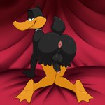 anthro anus balls beak bent_over black_body black_feathers butt feathers genitals half-closed_eyes humanoid_genitalia humanoid_penis looking_at_viewer looking_back male narrowed_eyes open_beak open_mouth penis presenting presenting_hindquarters solo lonbluewolf looney_tunes warner_brothers daffy_duck anatid anseriform avian bird duck 1:1 2025 hi_res