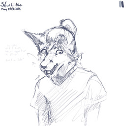 anthro blush blush_lines clothing embarrassed femboy flustered hair male scared shaking shirt solo t-shirt tied_hair topwear starlithe star_chrono_(starlithe) canid canine fox mammal 1:1 sketch