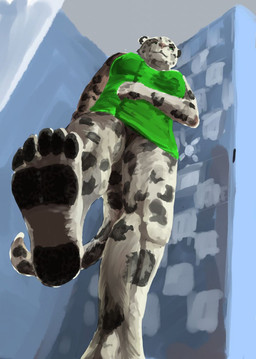 anthro black_body black_fur bottomless clothed clothing detailed_background feet female fur genitals green_clothing green_shirt green_topwear grey_body grey_fur inside long_tail macro macro_anthro macro_female markings micro_pov shirt shower solo spots spotted_body spotted_fur tail topwear vulva jeri_kleinlowe arokha felid mammal pantherine snow_leopard 2011 colored hi_res