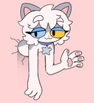 :3 anthro collar collar_tag countershading cracks eyelashes gesture hair heterochromia pawpads solo star_collar_tag through_wall waving white_hair popstick pop_(popstick) domestic_cat felid feline felis mammal 2024 digital_drawing_(artwork) digital_media_(artwork) hi_res