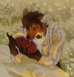 anthro big_ears brown_body brown_eyes brown_fur brown_hair cherry claws clothing ear_piercing ear_ring eating eating_food flower fluffy food fruit fur furniture gold_ring hair inner_ear_fluff male multicolored_body multicolored_fur nature nature_background neck_tuft orange_body orange_fur pattern_clothing pattern_shirt pattern_topwear piercing plaid plaid_clothing plaid_shirt plaid_topwear plant ring_piercing shirt sitting solo sunset t-shirt table topwear tuft white_body white_fur ocelotka canid canine canis mammal wolf digital_media_(artwork) half-length_portrait portrait