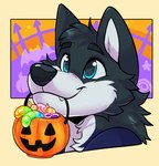 anthro bat_wings blue_body blue_fur candy dessert food fruit fur grey_body hair holidays male membrane_(anatomy) membranous_wings plant pumpkin simple_background solo trick-or-treating wings ectodrool halloween colby_(husky) canid canine canis domestic_dog husky mammal nordic_sled_dog spitz headshot_portrait portrait