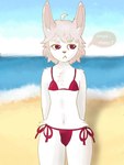 anthro beach bikini bikini_bottom bikini_thong bikini_top bulge clothed clothing femboy male partially_clothed skimpy solo swimwear two-piece_swimsuit zzztobi lagomorph leporid mammal rabbit 3:4 absurd_res hi_res