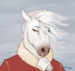 ambiguous_gender anthro brown_eyes clothing coat hair mane simple_background sky solo topwear white_hair siyah equid equine horse mammal cloudy_(disambiguation) low_res