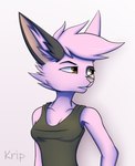 anthro breasts clothed clothing female fur hair pink_body pink_fur pink_hair pink_nose shirt solo tank_top topwear yellow_eyes kripperok dreamkeepers viriathus_vayu mammal hi_res