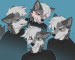 anthro black_clothing black_nose black_shirt black_topwear blue_background blue_eyes blush clothing front_view fur grey_body grey_ears grey_fur grey_tail hair licking licking_lips licking_own_lips looking_at_viewer male multiple_angles narrowed_eyes neck_tuft shirt side_view simple_background smile smirk solo tail teeth tongue tongue_out topwear tuft white_body white_fur white_hair peachygho ryew0lf canid canine canis mammal wolf