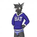 anthro blue_clothing blue_sweatshirt blue_underwear blush briefs bulge clothing hoodie male pattern_clothing pattern_underwear solo striped_briefs striped_clothing striped_underwear stripes text text_on_clothing text_on_hoodie text_on_topwear topwear underwear fuze fat_hoodie meme_clothing texnatsu kenta_yamashita bat mammal 1:1 english_text hi_res meme